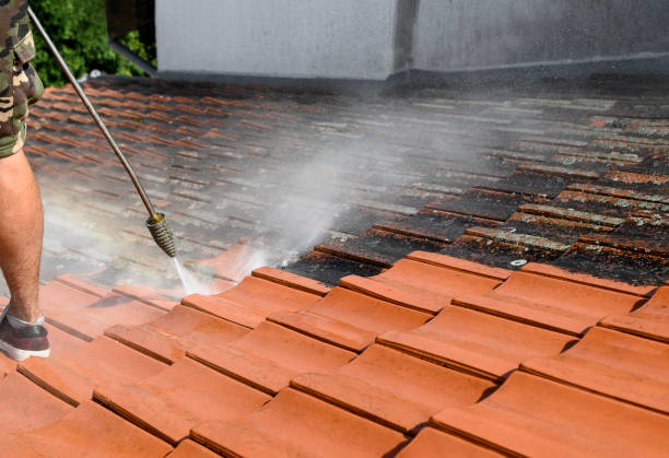 Best Local Pressure Washing Services  in Sandusky, MI