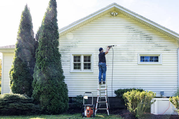 Best Roof Power Washing Services  in Sandusky, MI