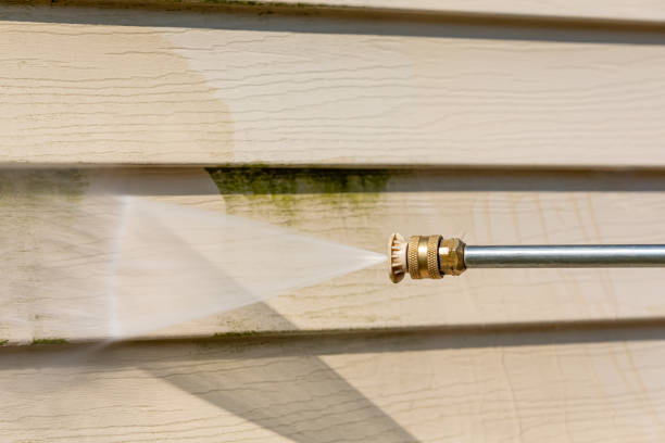 Roof Power Washing Services in Sandusky, MI